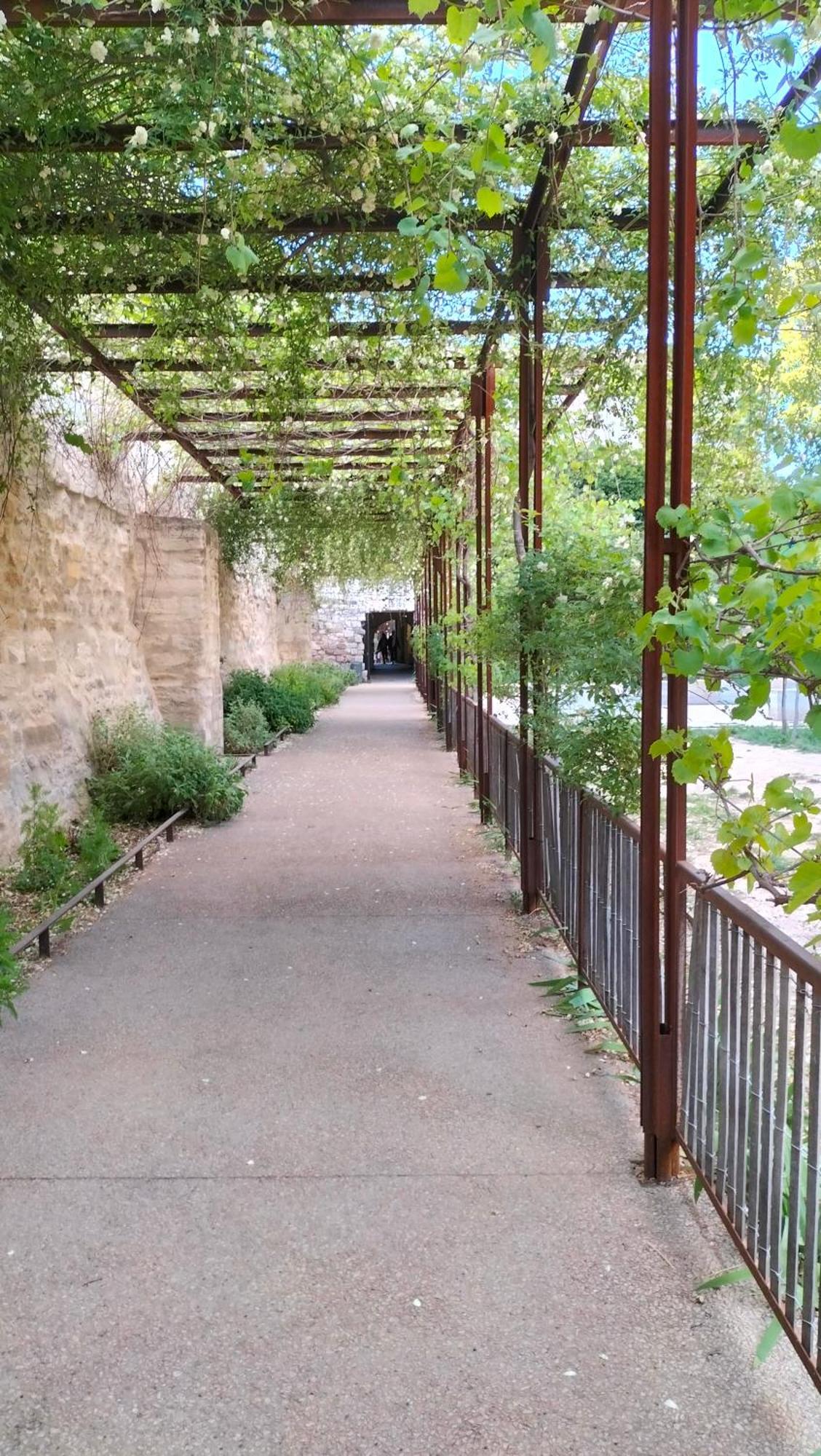 Terrasse, Intra-muros, Climatise Avec Wifi * Avignon